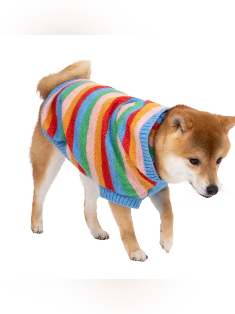 NWT Oodles Hooded Striped Fall Dog Sweater, size Large (25-45 lbs)